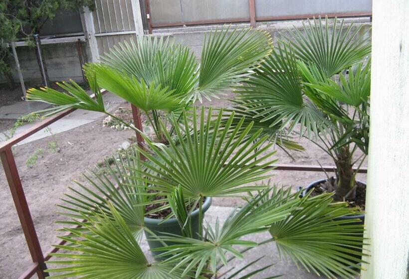 پانسیون Kárpáti Motel