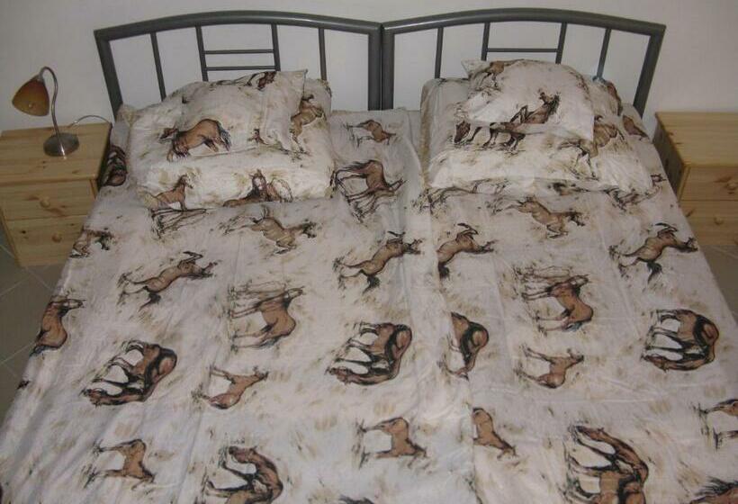 پانسیون Kárpáti Motel