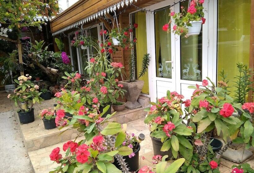 پانسیون Sous Le Soleil De La Reunion