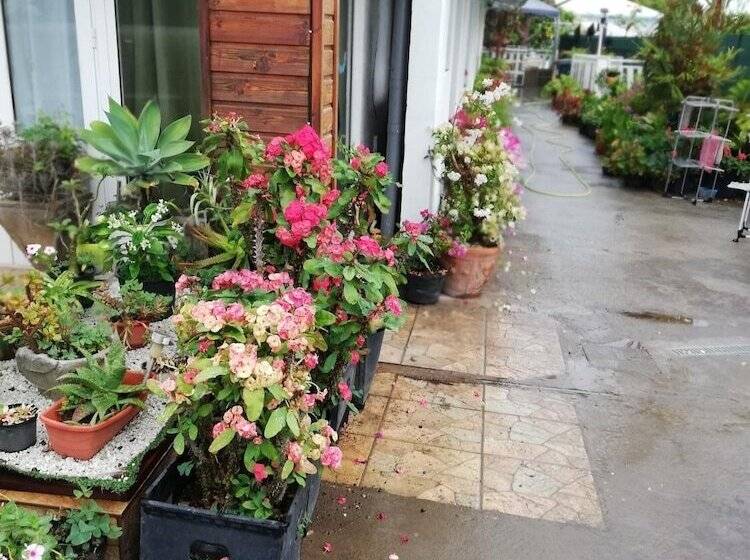 پانسیون Sous Le Soleil De La Reunion