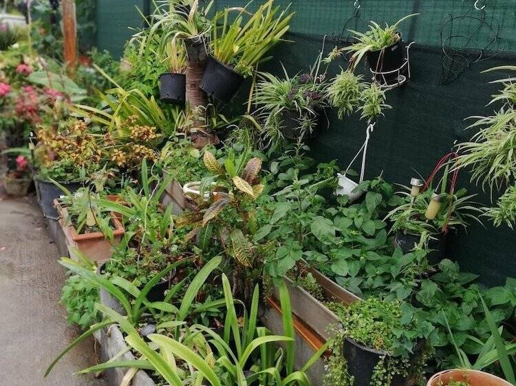 پانسیون Sous Le Soleil De La Reunion