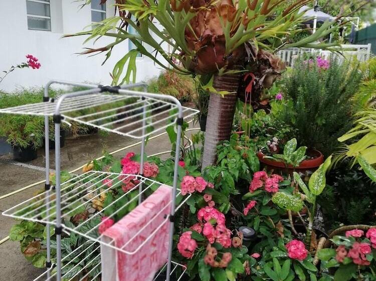 پانسیون Sous Le Soleil De La Reunion