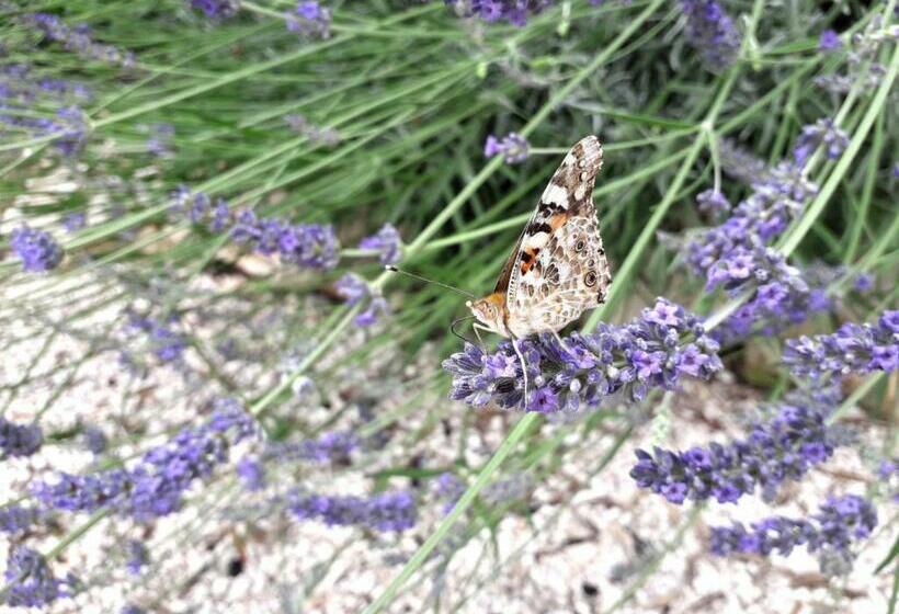 Residence Spadalunga