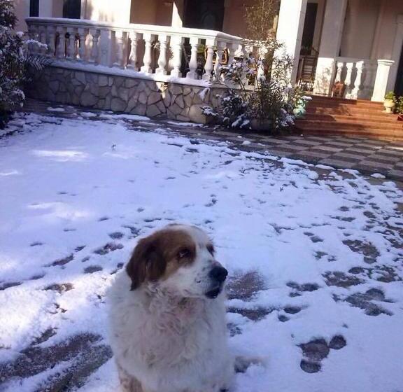 Bed & Breakfast L Arca