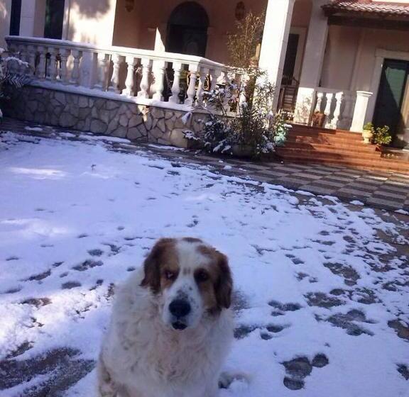 Bed & Breakfast L Arca