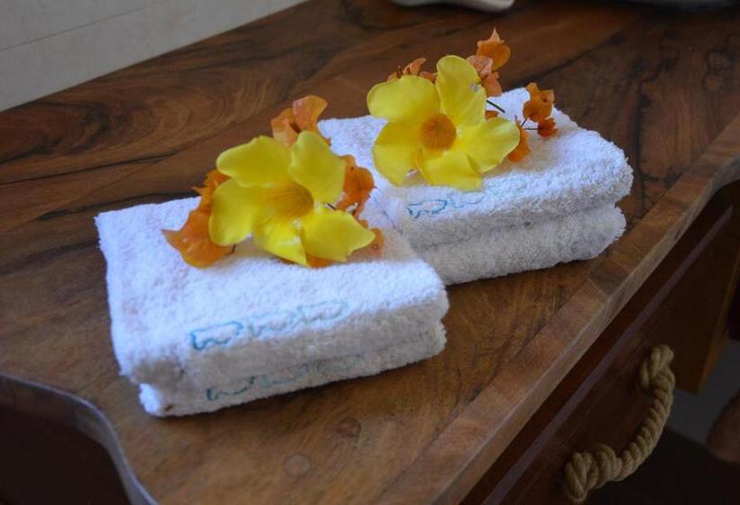 Bed and Breakfast La Maison Soleil