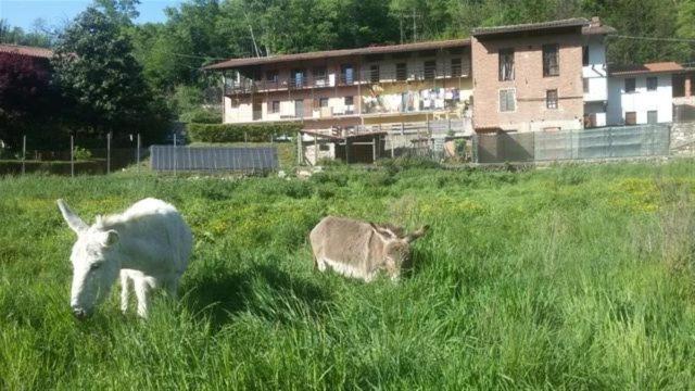 Bed & Breakfast Varionda