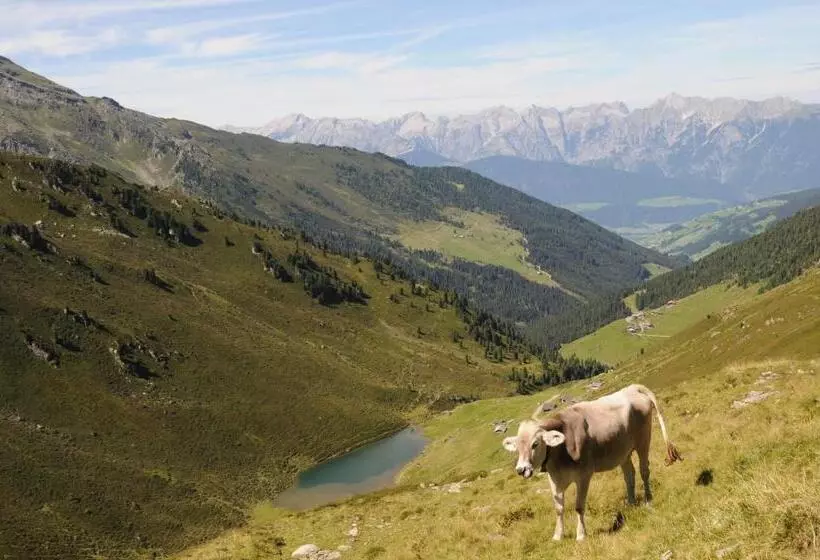Ferienpension Steiner