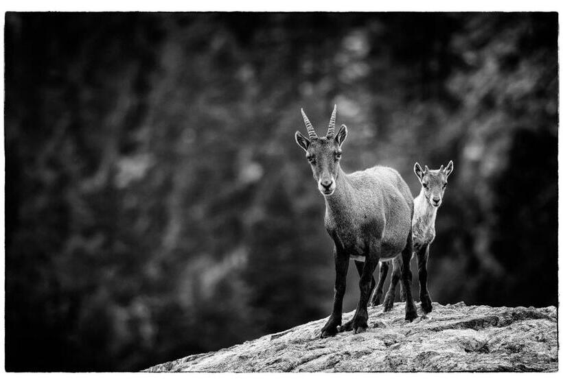 پانسیون Les Chambres Du Presbytère Du Val