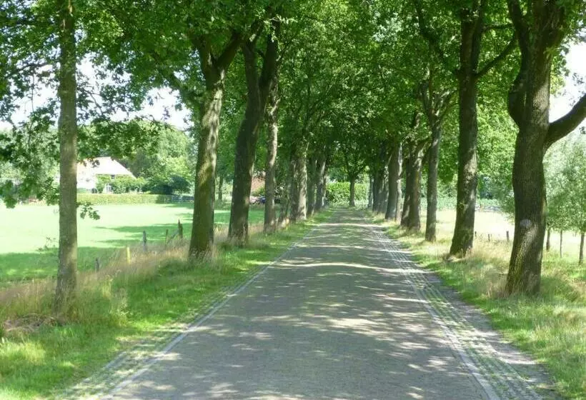 Aamiaismajoitus (B&B) De Langenlee