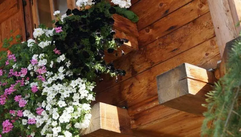 Hotelli Mohrs Herzl Chalet