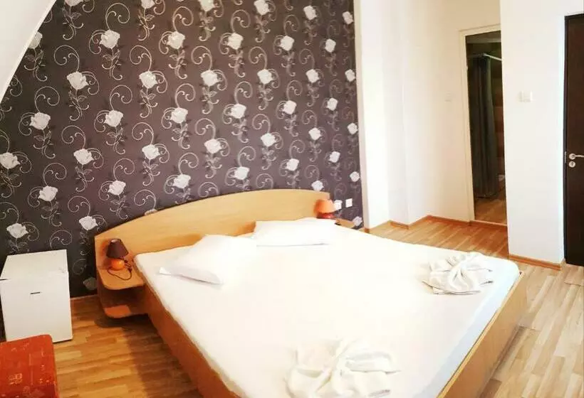 Pensiune Casa Cic
