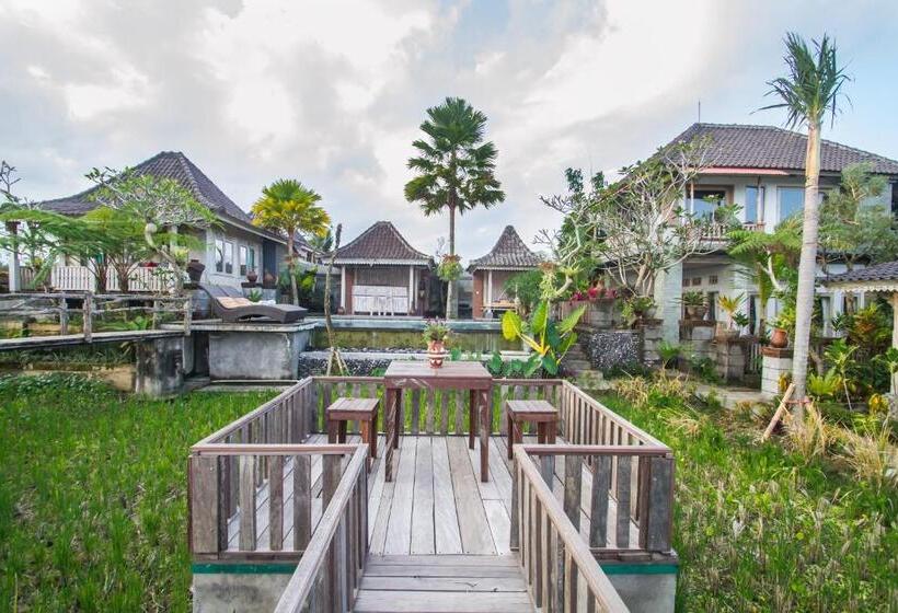 Pensjonat Uma Caming Villas & Gym