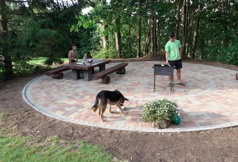 پانسیون Viesu Nams Mevidi