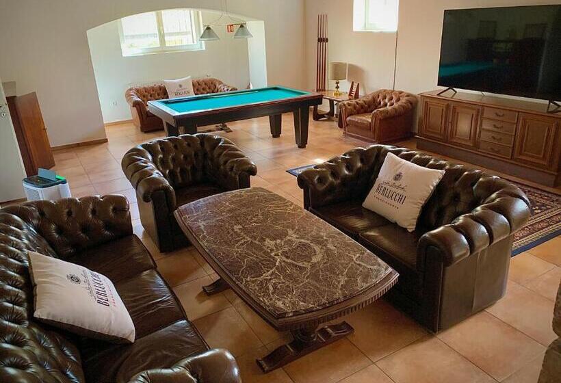 膳宿费 Vila Austerlitz