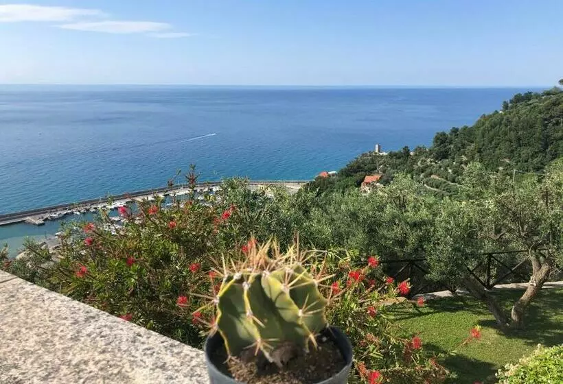 Villa Degli Ulivi B&b
