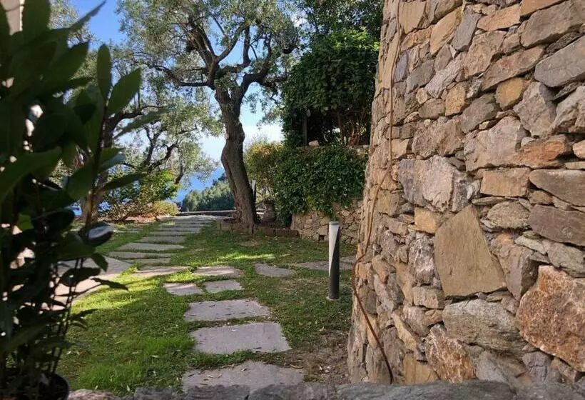 Villa Degli Ulivi B&b