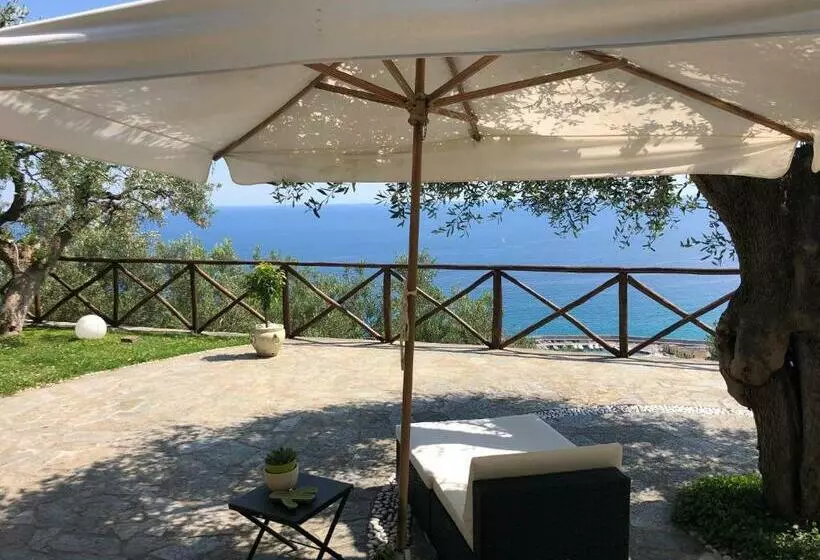 Villa Degli Ulivi B&b