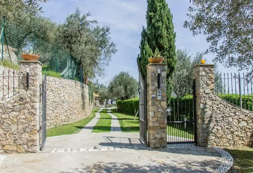 Villa Degli Ulivi B&b