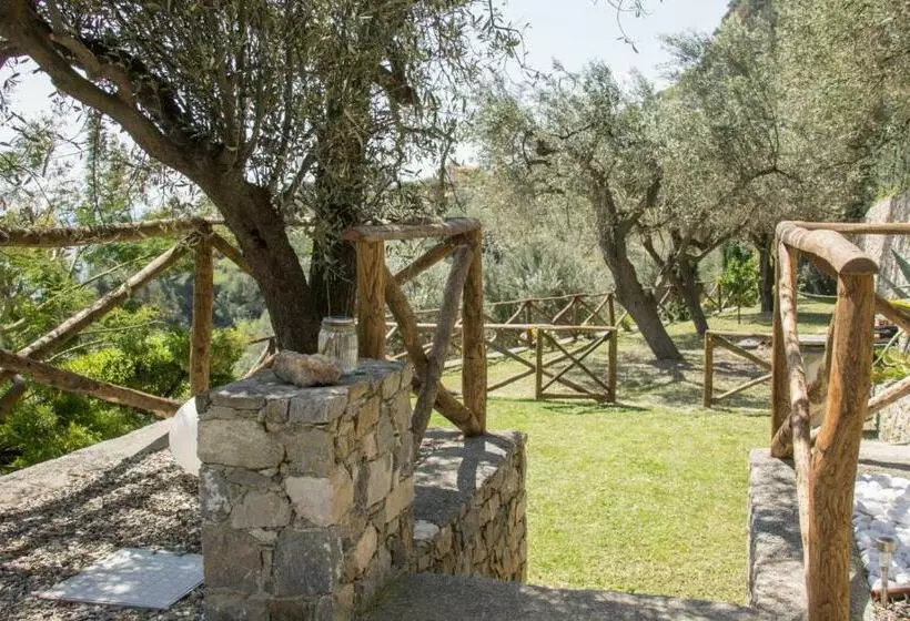 Villa Degli Ulivi B&b