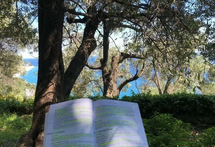 Villa Degli Ulivi B&b