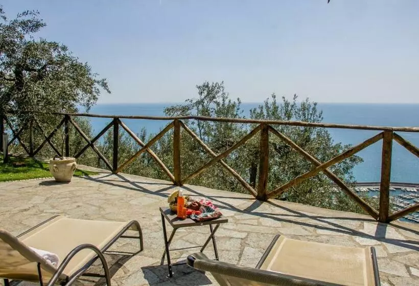 Villa Degli Ulivi B&b