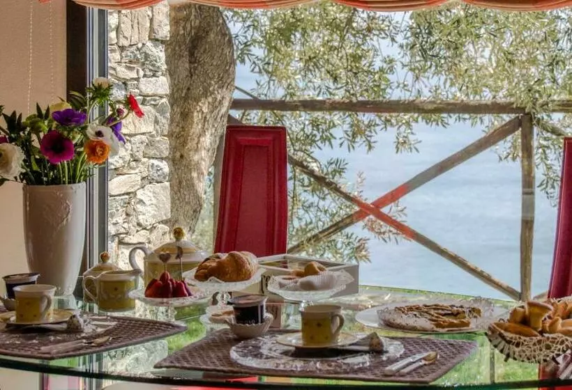 Villa Degli Ulivi B&b