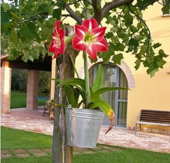 B&b Il Casolare Di Bonci