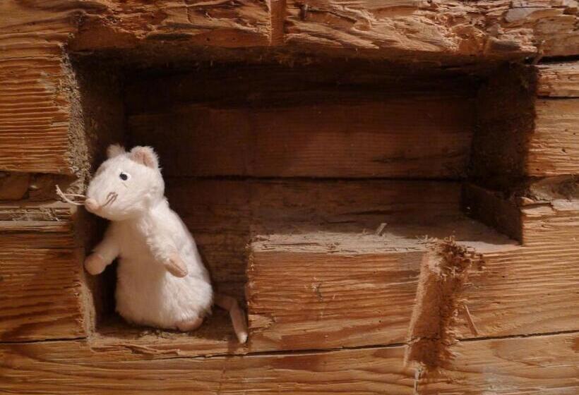 צימר Heuholzmühle Privatzimmer