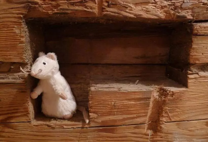 ベッドアンドブレックファースト Heuholzmühle Privatzimmer