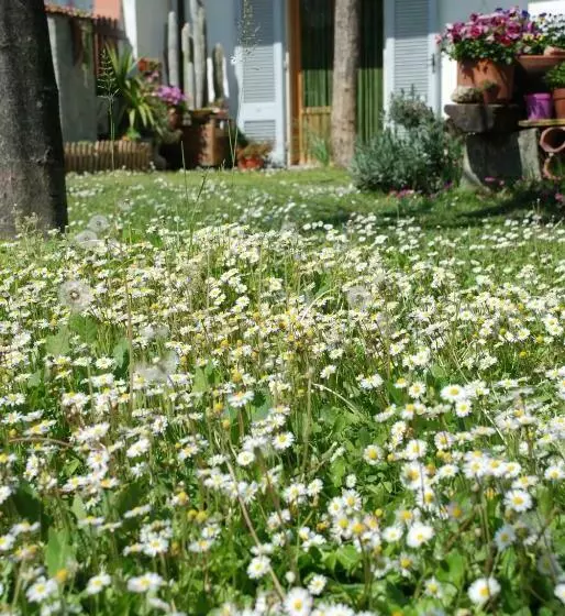Bed And Breakfast Il Girasole