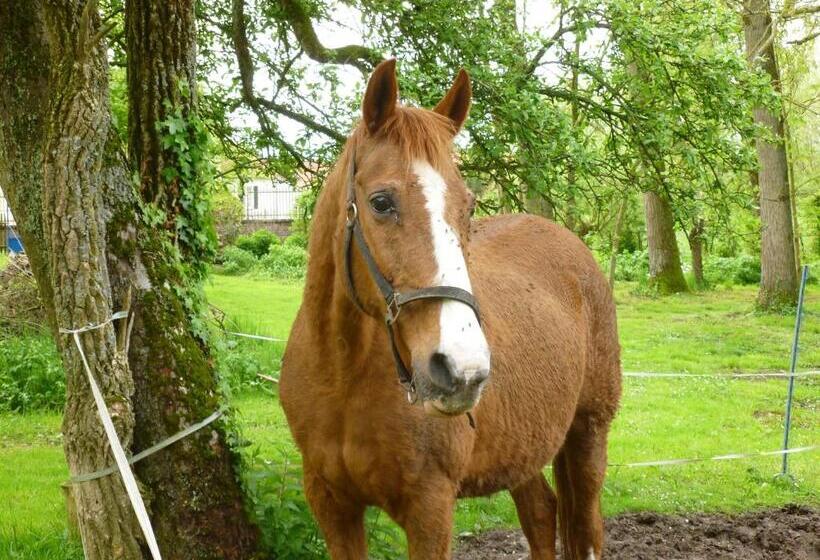 Nocleg ze śniadaniem Manoir Francis