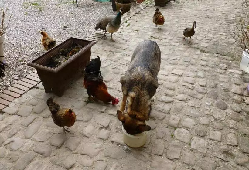 ベッドアンドブレックファースト Manoir Francis