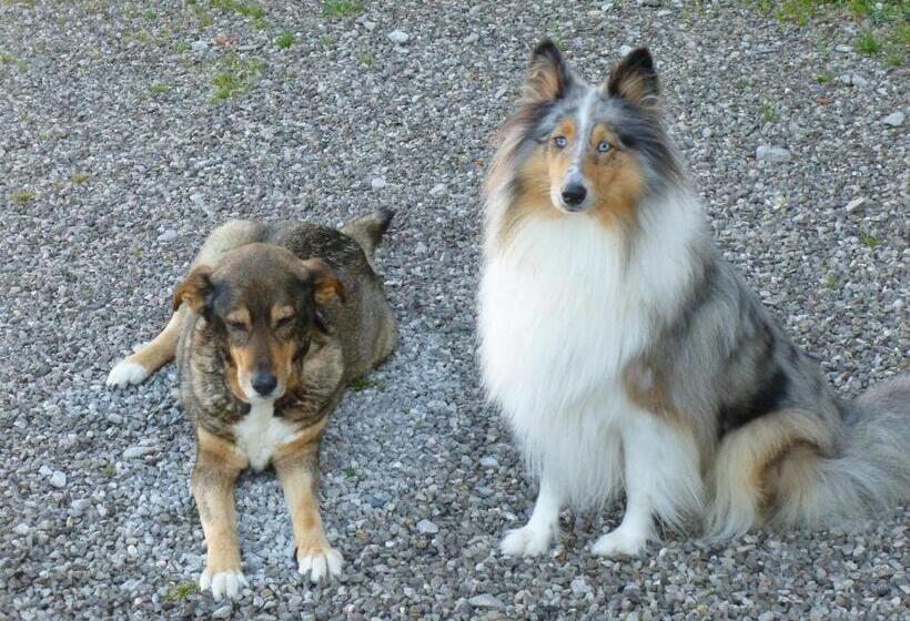 Nocleg ze śniadaniem Manoir Francis