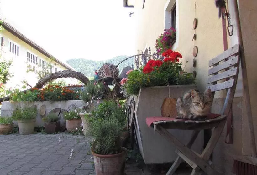 Gasthof Pension Rabl