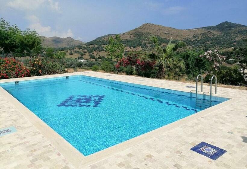 בית מלון כפרי Eco Farm Boutique