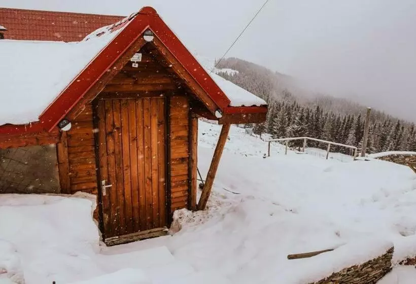پانسیون Piatra Rancii
