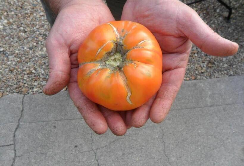 تختخواب و صبحانه Chambres D Hôtes La Turone