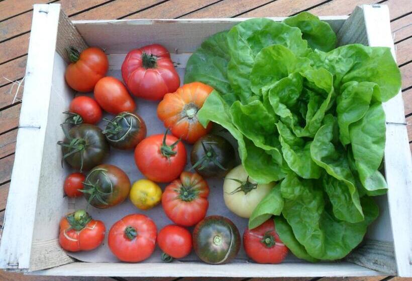 تختخواب و صبحانه Chambres D Hôtes La Turone