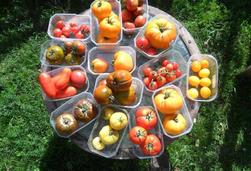 تختخواب و صبحانه Chambres D Hôtes La Turone