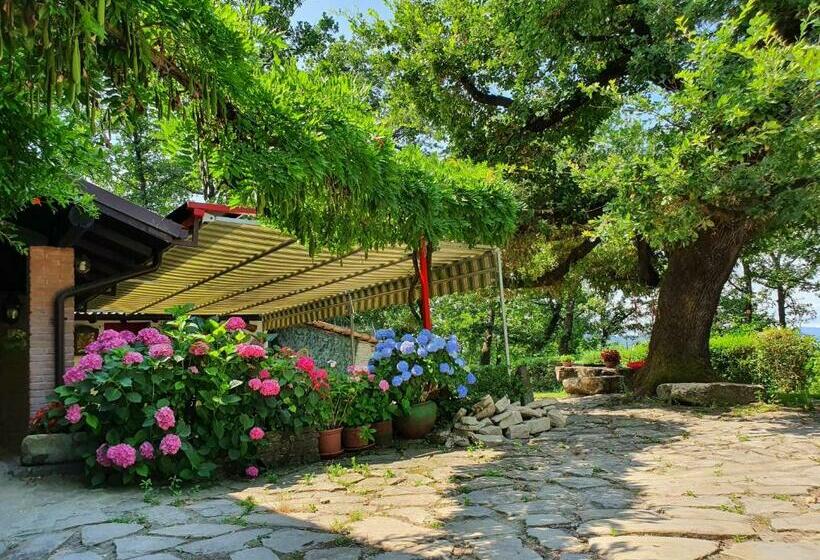 בית מלון כפרי Agriturismo Il Burlino Apartments