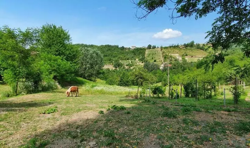 Hotelli Agriturismo Il Burlino Apartments