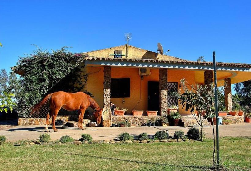 酒店 Agriturismo Monte Majore