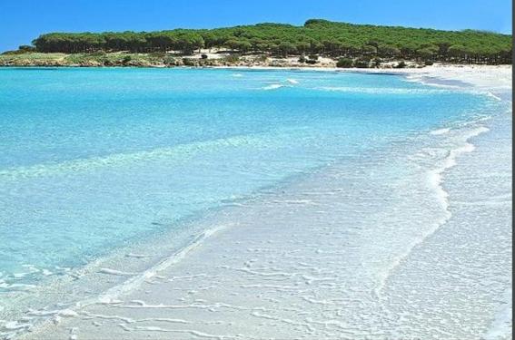 酒店 Agriturismo Monte Majore