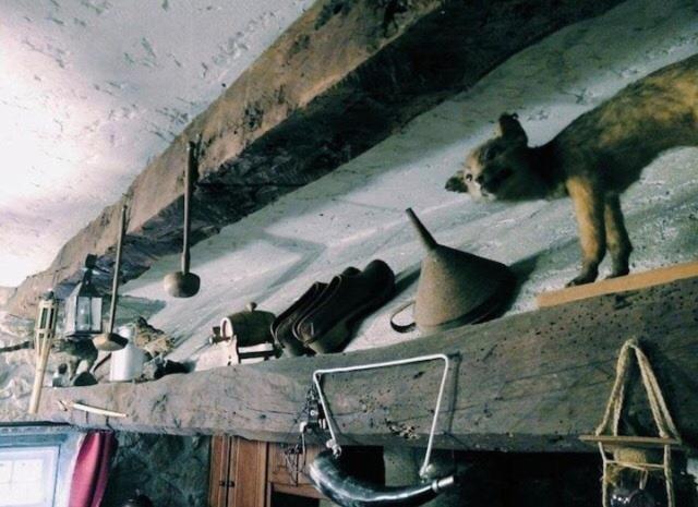 酒店 Casa Boavista