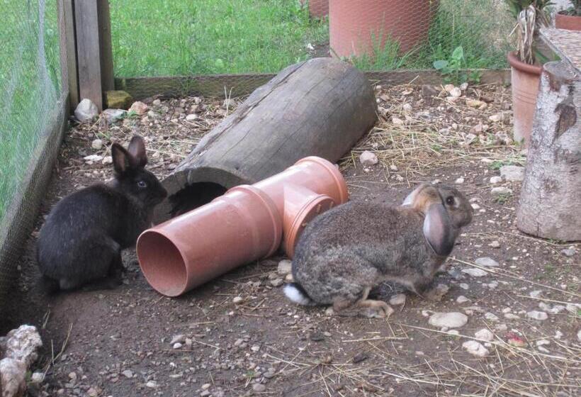 בית מלון כפרי Wagnerhof
