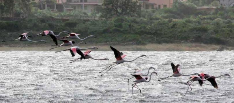 بنسيون Numero 3