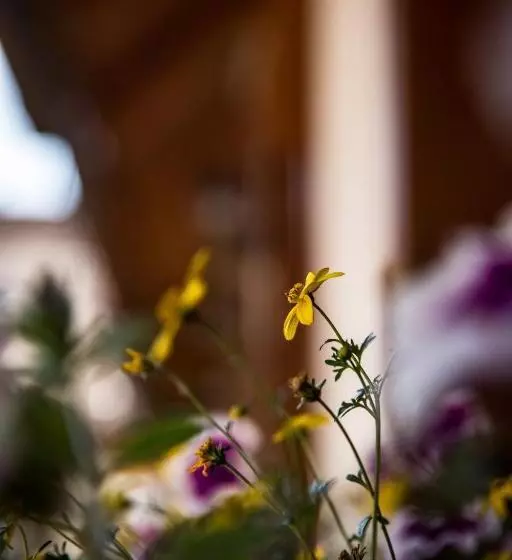 ベッドアンドブレックファースト Fiáker Panzió