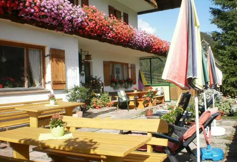 هتل Bichlhof Riedenberg