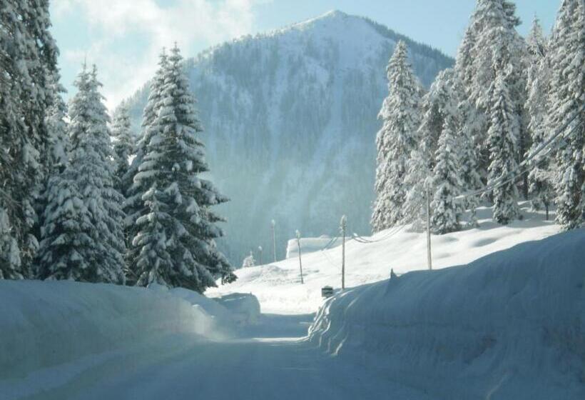 فندق Bichlhof Riedenberg